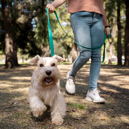 LAN001 (Poly Ribbed Dog Leash)