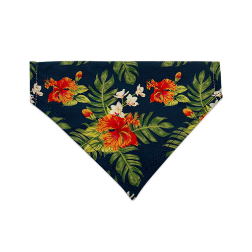 LS172 (Small Pet Bandana)