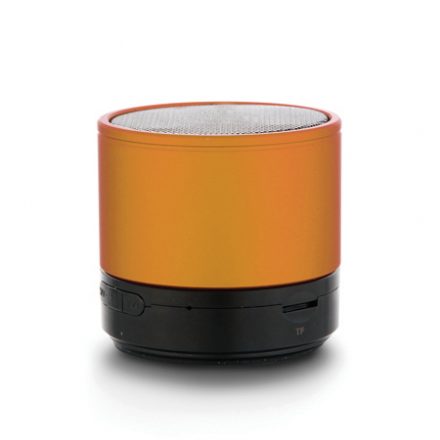 S040 (Speaker)