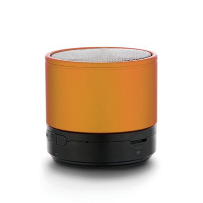 S040 (Speaker)