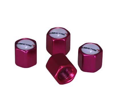 SP122 (Valve Caps Set)
