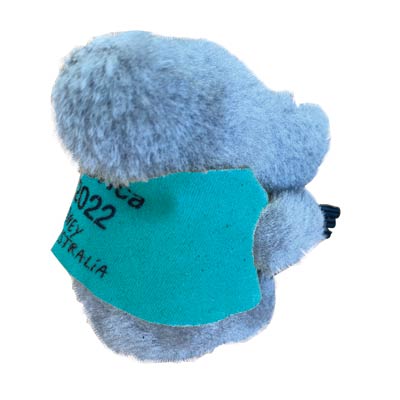 SP138 (Custom Clip on Koala)