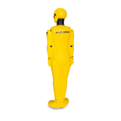 SP147 (Custom Stress Toy)