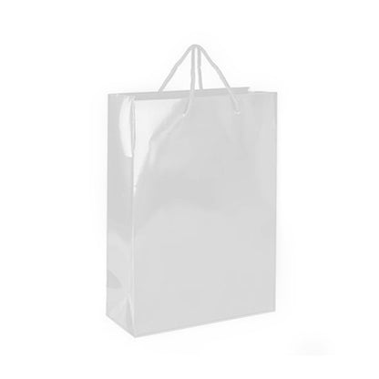 SPB025 (Laminated Paper Bag - S)