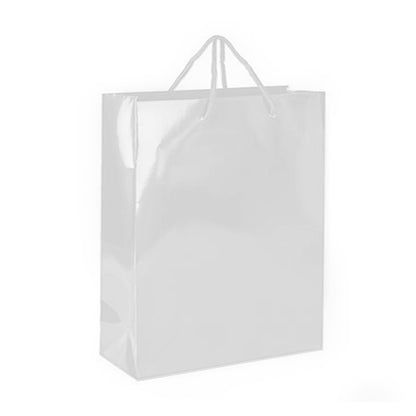 SPB026 (Laminated Paper Bag - M)