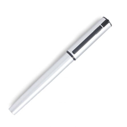 P020 (Flash Drive)