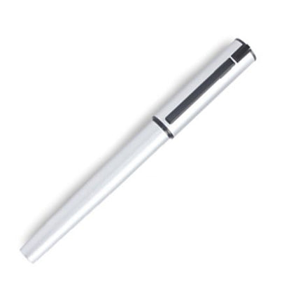 P020 (Flash Drive)