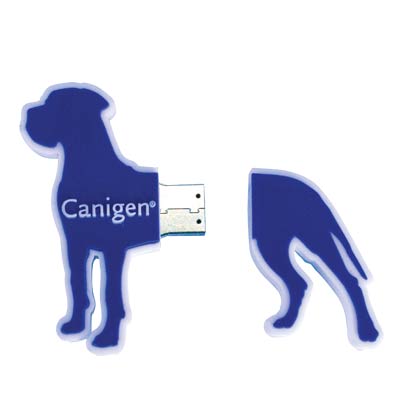 USBCS007 (Custom Shaped USB)