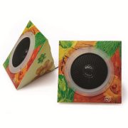 Promotional Speakers - Wired